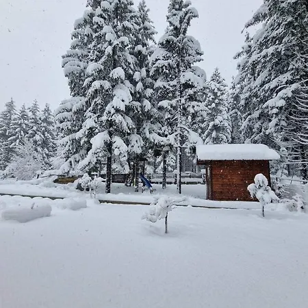 Casa Foresta Villa *