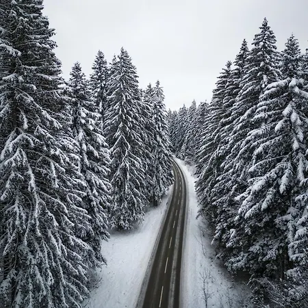 Casa Foresta * Mrkopalj